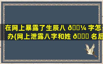 在网上暴露了生辰八 🌼 字怎么办(网上泄露八字和姓 🐕 名后果)